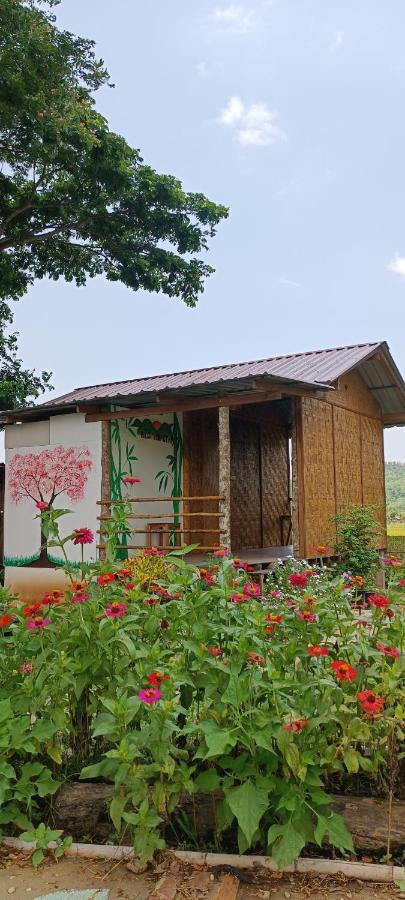 Kaewma Farmstay Khuang Kom ภายนอก รูปภาพ