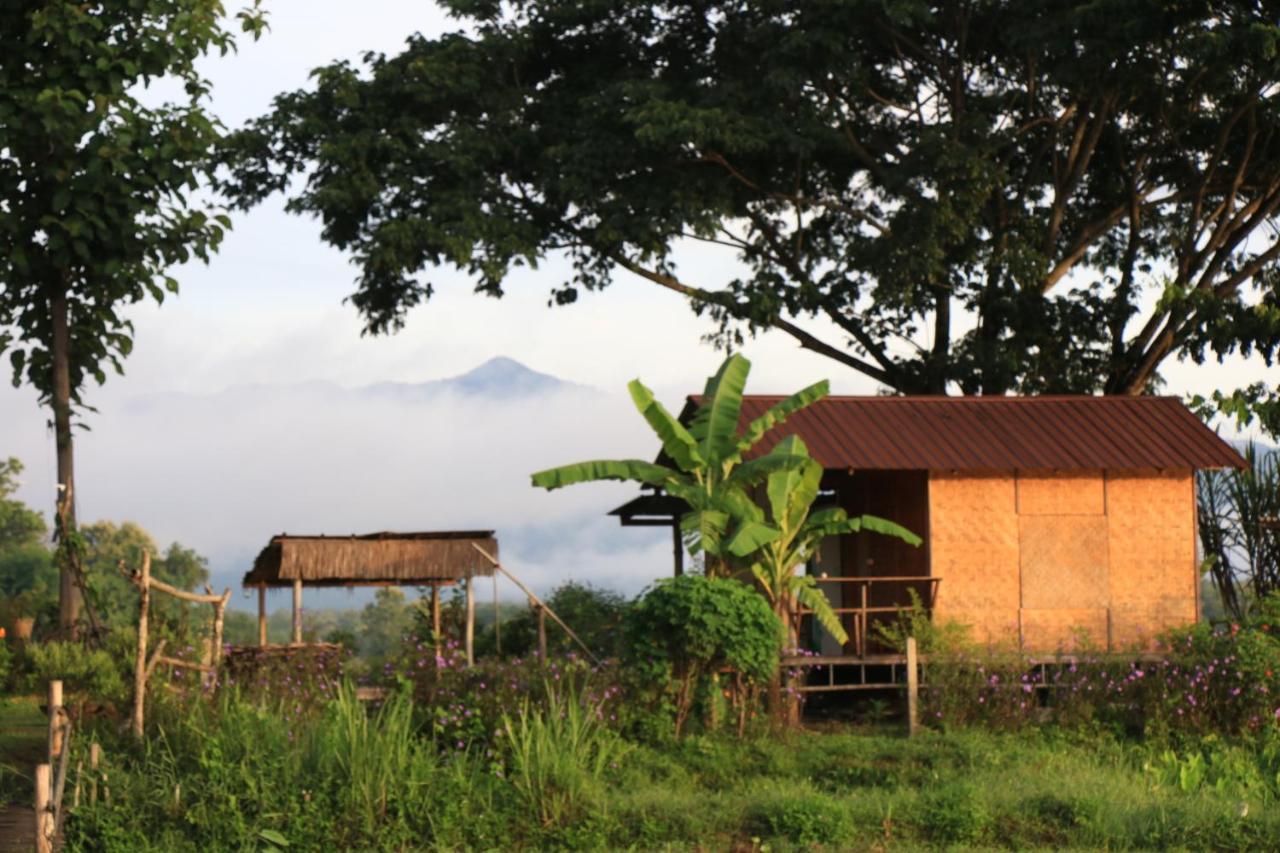 Kaewma Farmstay Khuang Kom ภายนอก รูปภาพ
