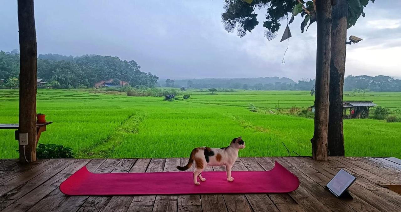 Kaewma Farmstay Khuang Kom ภายนอก รูปภาพ
