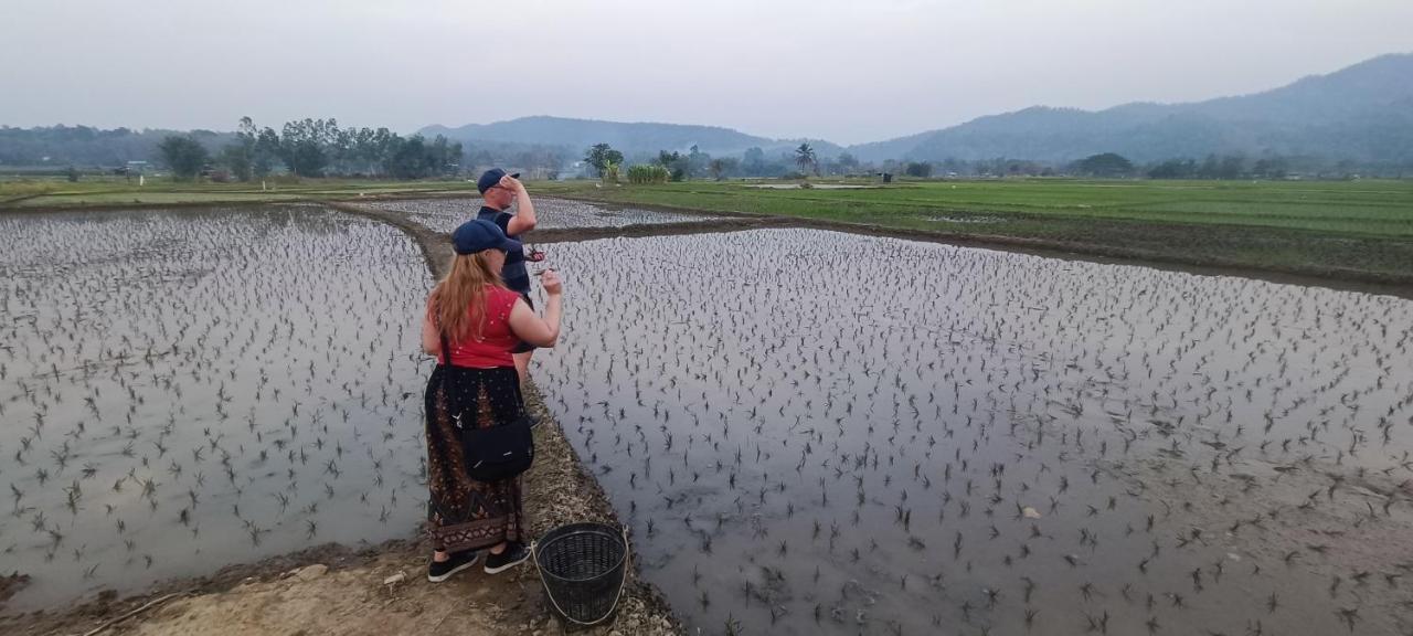 Kaewma Farmstay Khuang Kom ภายนอก รูปภาพ