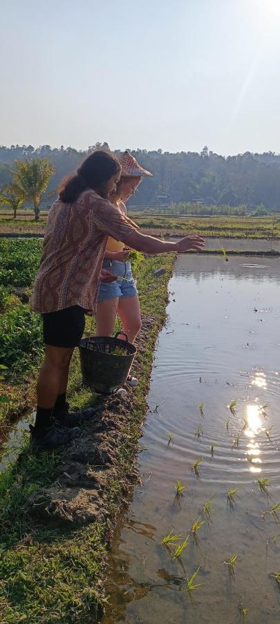 Kaewma Farmstay Khuang Kom ภายนอก รูปภาพ