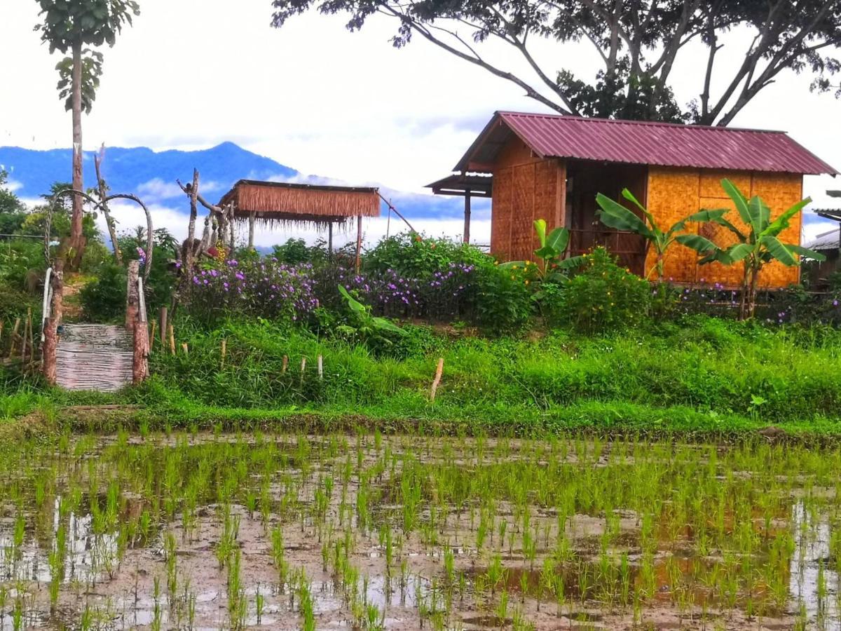 Kaewma Farmstay Khuang Kom ภายนอก รูปภาพ