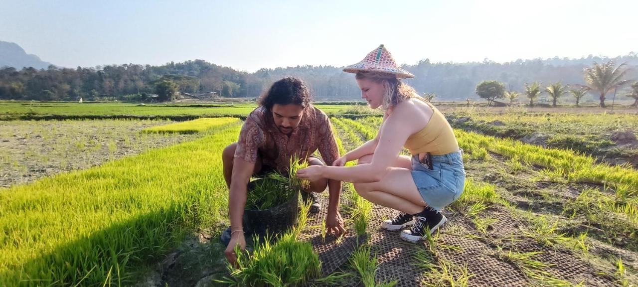 Kaewma Farmstay Khuang Kom ภายนอก รูปภาพ