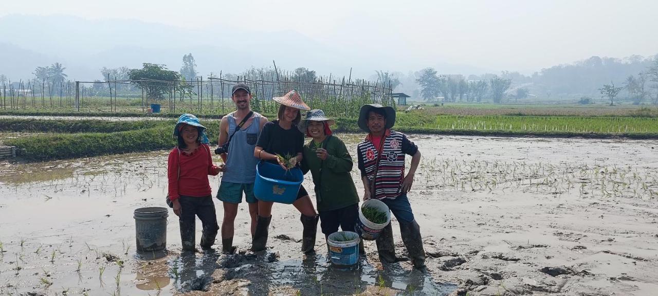 Kaewma Farmstay Khuang Kom ภายนอก รูปภาพ