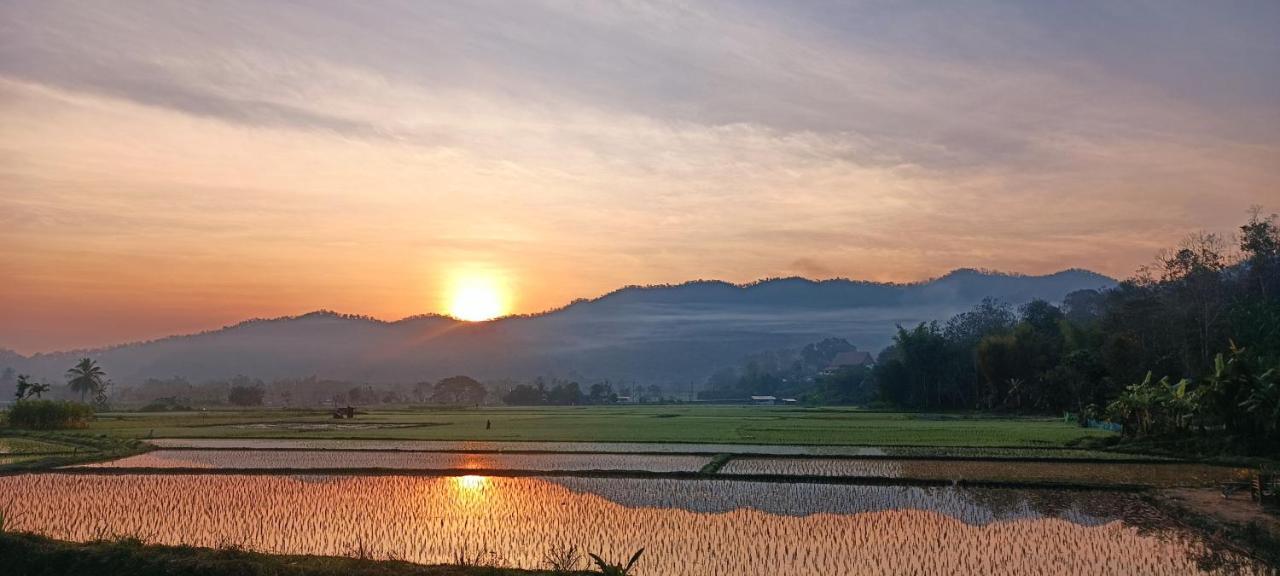Kaewma Farmstay Khuang Kom ภายนอก รูปภาพ