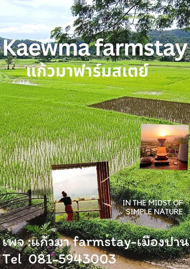 Kaewma Farmstay Khuang Kom ภายนอก รูปภาพ
