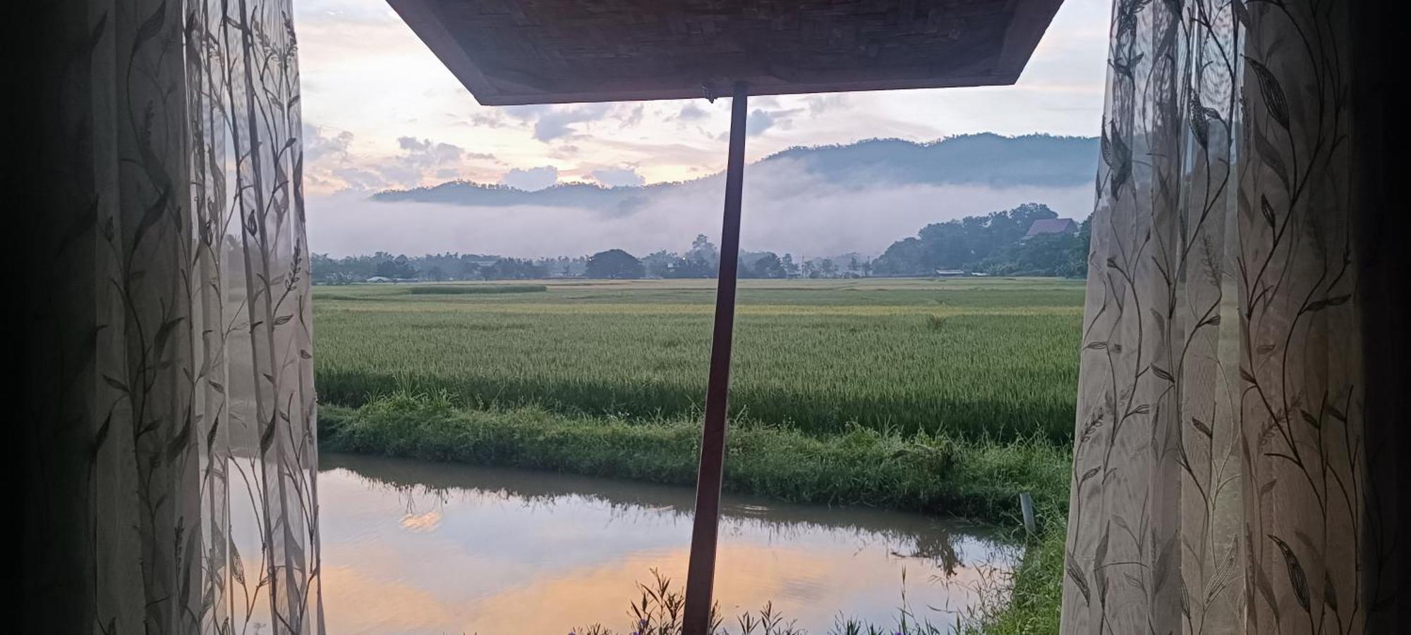 Kaewma Farmstay Khuang Kom ภายนอก รูปภาพ