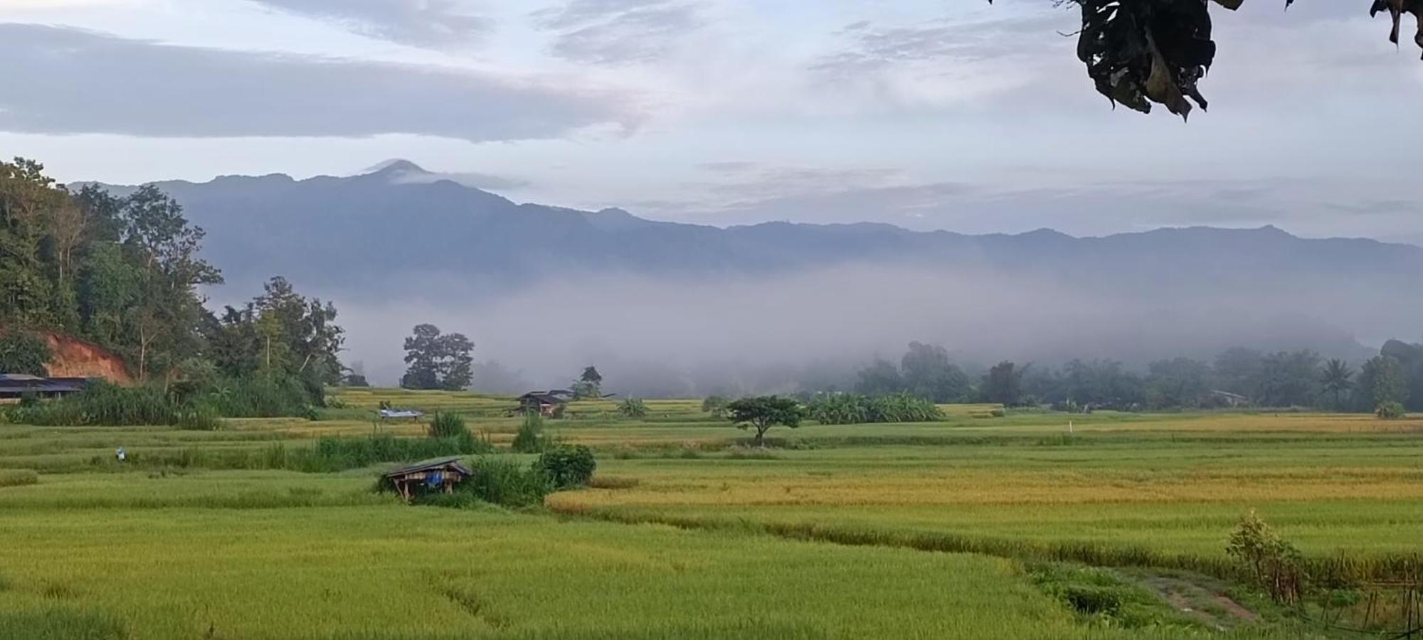 Kaewma Farmstay Khuang Kom ภายนอก รูปภาพ