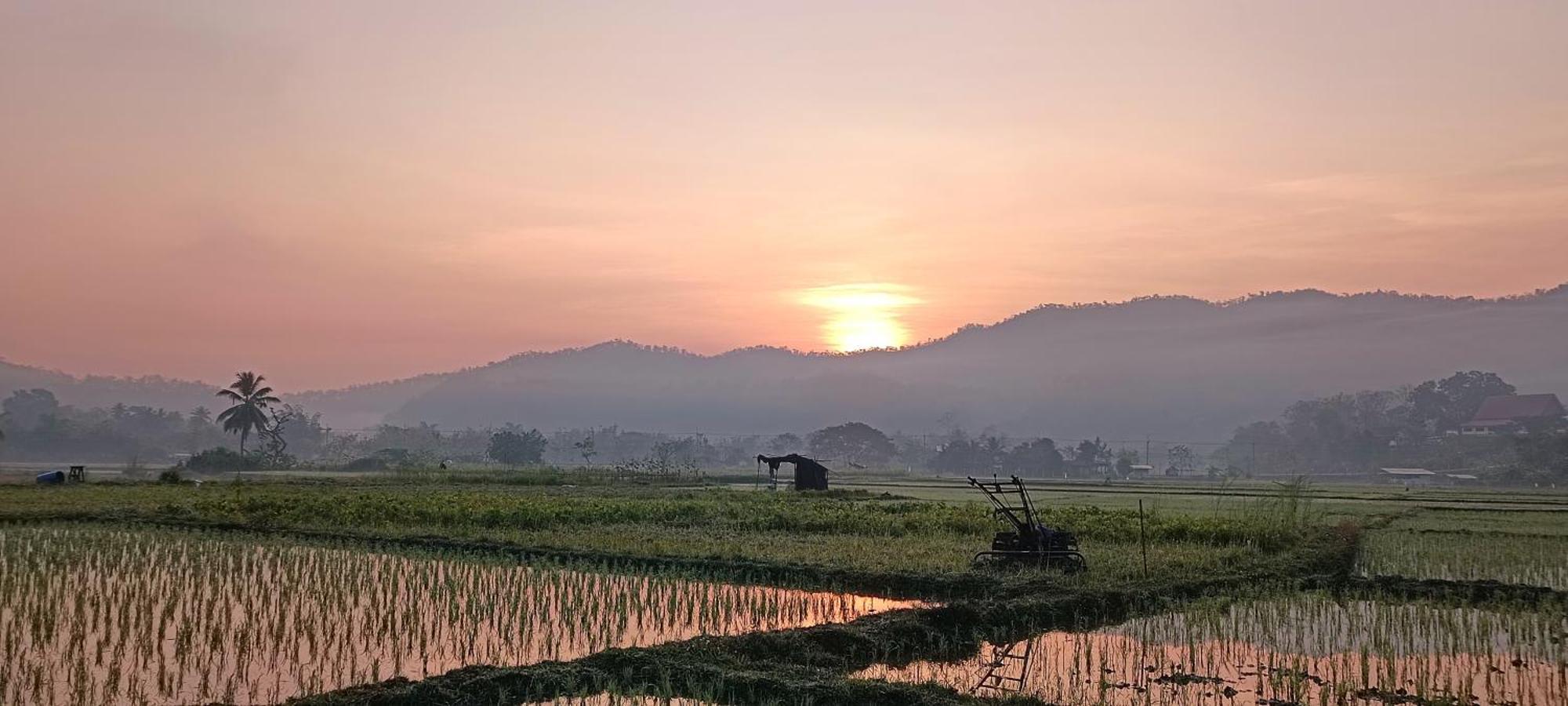 Kaewma Farmstay Khuang Kom ห้อง รูปภาพ